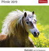 Buchcover Pferde - Kalender 2019