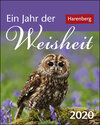 Buchcover Ein Jahr der Weisheit Kalender 2020