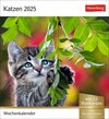 Buchcover Katzen Postkartenkalender 2025 - Wochenkalender mit 53 Postkarten