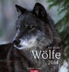 Buchcover Wölfe 2014