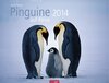 Buchcover Pinguine auf Reise 2014
