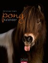 Buchcover Pony Kalender 2014