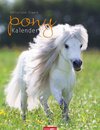 Buchcover Pony Kalender 2015