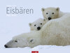 Buchcover Eisbären - Kalender 2017
