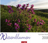 Buchcover Wiesenblumen - Kalender 2018