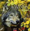 Buchcover Wölfe - Kalender 2019