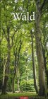 Buchcover Im Wald Kalender 2023. Die heimischen Wälder in faszinierenden Fotos dargestellt in einem XXL Kalender. Bäume und Co. in