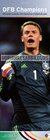 Buchcover DFB Vertical 2014