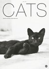 Buchcover Cats Edition 2015