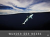 Buchcover Edition Humboldt - Wunder der Meere 2016