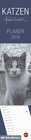 Buchcover Quint Buchholz Katzen long - Kalender 2019