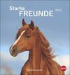 Buchcover Pferde - Starke Freunde Postkartenkalender 2023. Pferdefotografin Sabine Stuewer setzt die edlen Tiere in einem kleinen 