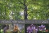 Buchcover Wald nah und fern Edition Kalender 2023. Der Wald von seiner schönsten Seite in einem XXL Wandkalender. Kalender Großfor