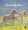 Buchcover Kuschelfohlen Postkartenkalender 2023. Ein kleiner Kalender voll unbeholfener Fohlen zum Dahinschmelzen. Postkarten-Tisc