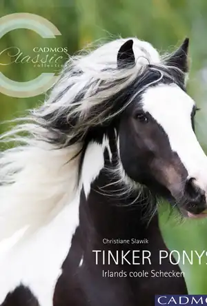 Buchcover ISBN 9783840400247