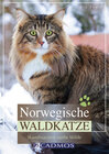 Norwegische Waldkatze width=