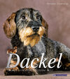 Buchcover Dackel