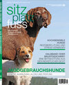 Buchcover SitzPlatzFuss, Ausgabe 29