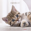 Buchcover Katzen 2020 - Cats - Wandkalender - Broschürenkalender (30 x 60 geöffnet) - Tierkalender - Wandplaner