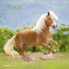 Buchcover Pferde 2020 - Horses - Wandkalender - Broschürenkalender (30 x 60 geöffnet) - Tierkalender - Wandplaner