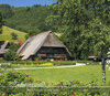 Buchcover Schwarzwald 2020 - Black Forest - Bildkalender (33,5 x 29) - Landschaftskalender - Wandkalender