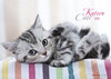 Buchcover Katzen 2020 - Cats - Bildkalender (42 x 60 geöffnet) - Tierkalender - Wandkalender
