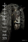 Buchcover Beautiful Horses 2020 - Pferde - Bildkalender (34 x 50) - Tierkalender - Wandkalender
