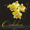 Buchcover Orchideen 2020 - Orchids - Bildkalender (33 x 33) - mit Notizbereich - Blumen - Wandkalender