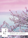 Buchcover Spirit of Japan 2020 - Bildkalender XXL (48 x 64) - mit Kaligrafien - Landschaftskalender - Natur - japanische Kultur - 