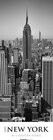 Buchcover New York 2020 - Streifenkalender XXL (25 x 69) - schwarz-weiß - Kunstkalender - Bildkalender - Wandkalender
