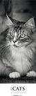 Buchcover Cats 2016 - Streifenkalender XXL - (25 x 69)