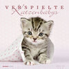 Buchcover Verspielte Katzenbabys 2019