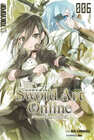Buchcover Sword Art Online - Novel 06