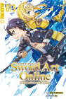 Buchcover Sword Art Online - Novel 13