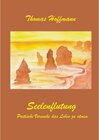 Buchcover Seelenflutung