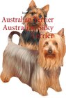 Buchcover Australian Terrier Australian Silky Terrier