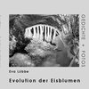 Buchcover Evolution der Eisblumen