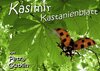 Buchcover Kasimir Kastanienblatt