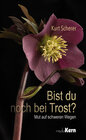 Buchcover Bist du noch bei Trost?