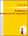 Buchcover Waldheimat Erzählungen aus der Jugendzeit