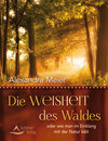 Buchcover Die Weisheit des Waldes