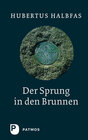 Buchcover Der Sprung in den Brunnen