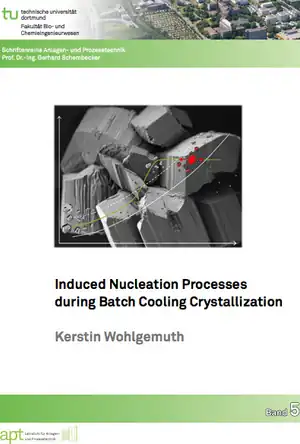 Buchcover ISBN 9783843907163