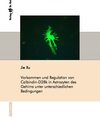 Buchcover Vorkommen und Regulation von Calbindin-D28k in Astrozyten des Gehirns unter unterschiedlichen Bedingungen