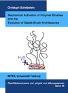Buchcover Mechanical Activation of Polymer Brushes and the Evolution of Stable Brush Architectures