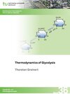 Buchcover Thermodynamics of Glycolysis