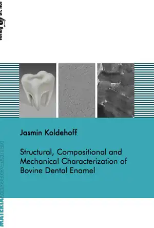 Buchcover ISBN 9783843950817