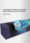Buchcover An hp-Adaptive Strategy for Compressible Droplet Dynamics with Phase Transition