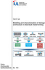 Buchcover Modelling and characterization of damage and fracture in sheet-bulk metal forming