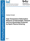 Buchcover High-Temperature Deformation Behavior of Intermetallic Titanium and Iron Aluminides Produced by Spark Plasma Sintering